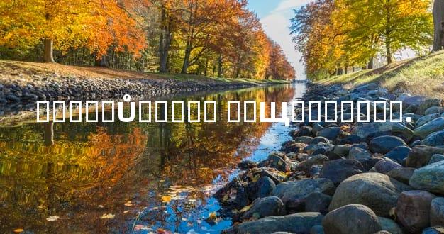 �ط���Ů���ص� ��Щϸ�ڱ����.